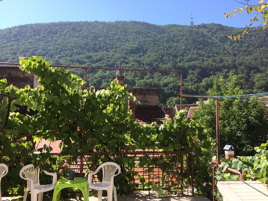Apartment Fantasy Brasov